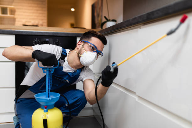 Best Affordable Pest Control Services  in Catahou, LA