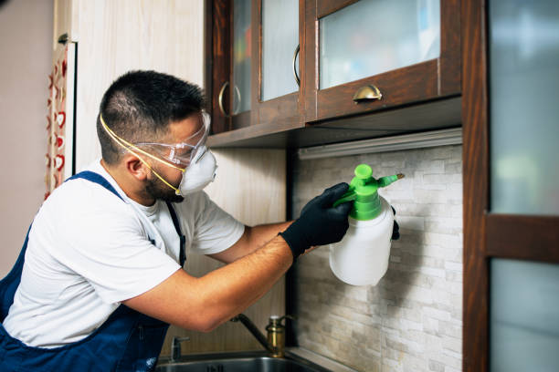 Best Residential Pest Control  in Catahou, LA