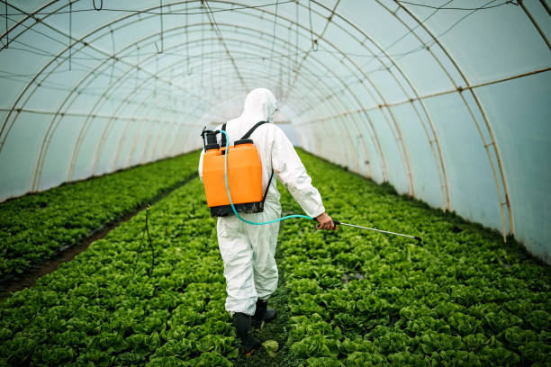 Professional Pest Control in Catahoula, LA
