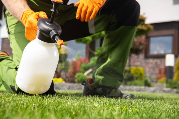  Catahou, LA Pest Control Pros