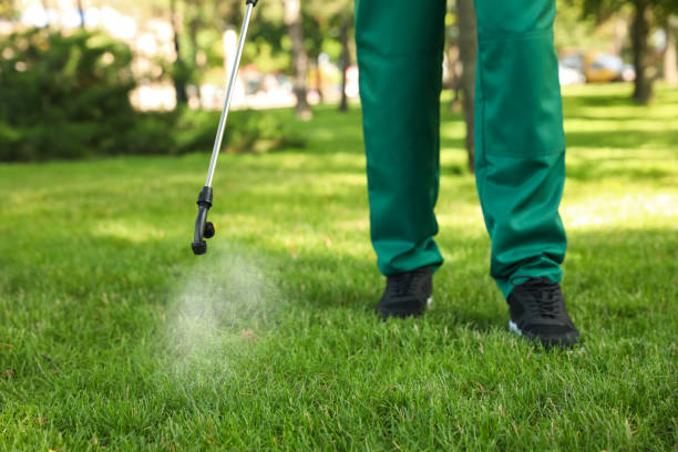 Trusted Catahoula, LA Pest Control Experts