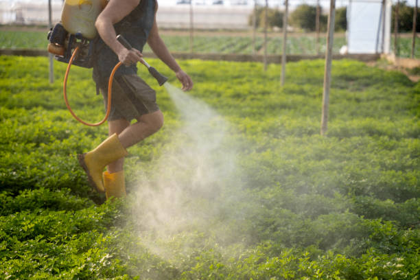 Best Pest Control Cost  in Catahou, LA