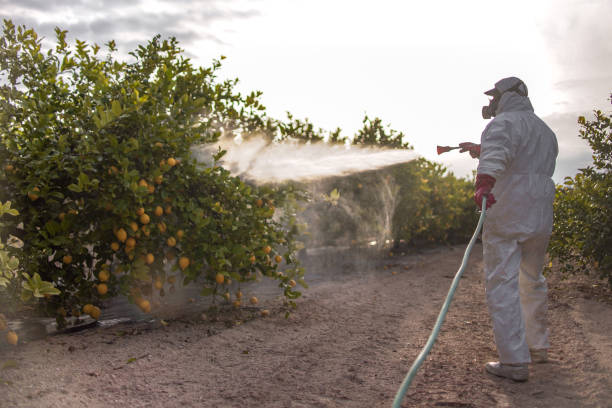 Best Pest Control for Businesses  in Catahou, LA
