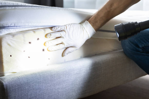 Pest Control Cost in Catahoula, LA